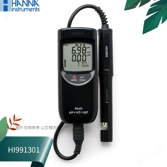 HI991301水质pH