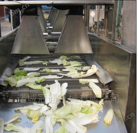 蔬菜风干机生产