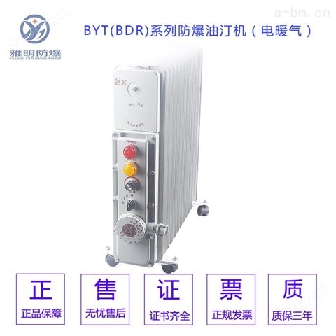 雅明BYT-2000W3000W防爆电热油汀取暖器