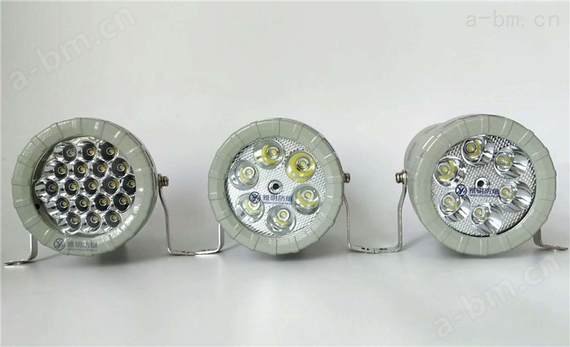 BSD96-LED24V10W15W20W聚光式防爆视孔灯