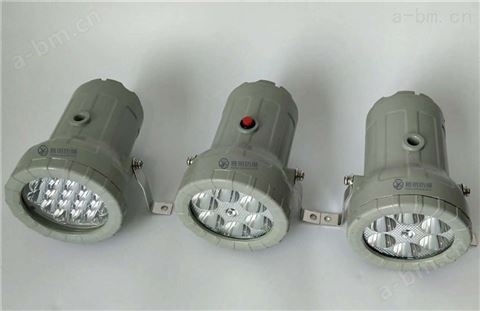 BSD96-LED24V10W15W20W聚光式防爆视孔灯
